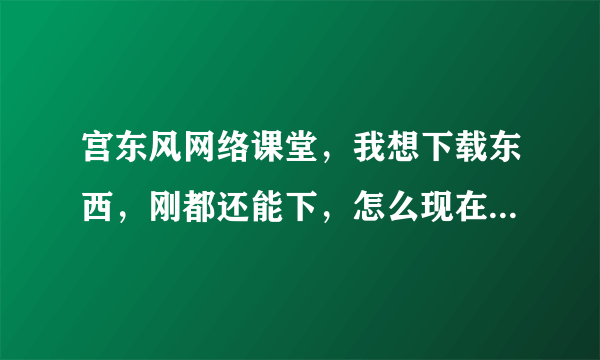 宫东风网络课堂，我想下载东西，刚都还能下，怎么现在一到要进下载页面就怎么都进不去？