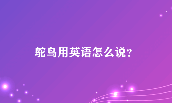 鸵鸟用英语怎么说？