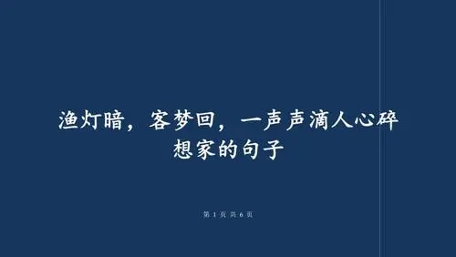 想家的诗句