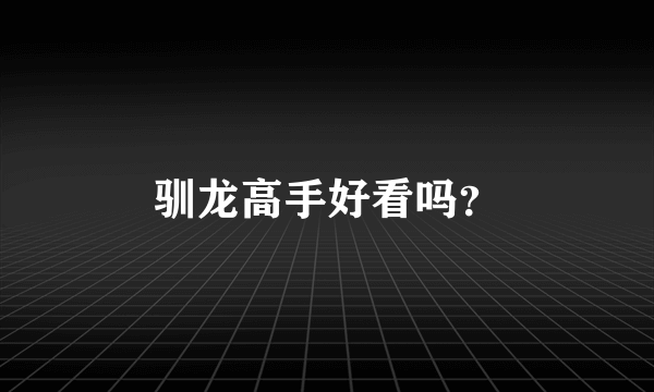 驯龙高手好看吗？