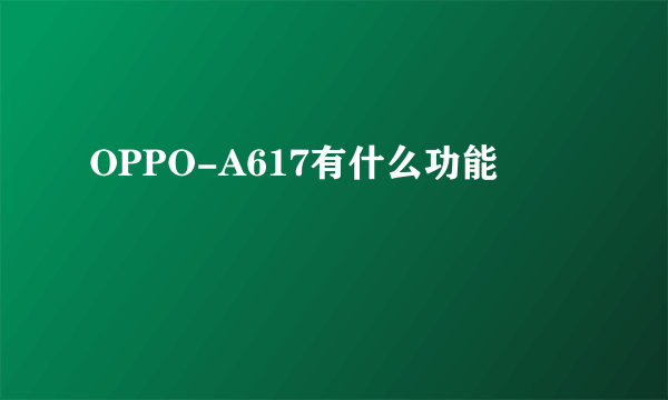 OPPO-A617有什么功能