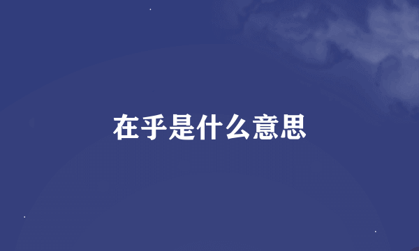 在乎是什么意思