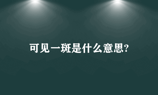 可见一斑是什么意思?