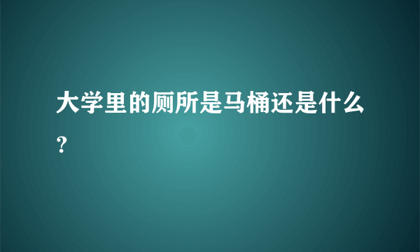 大学里的厕所是马桶还是什么?