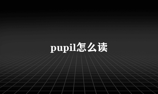 pupil怎么读