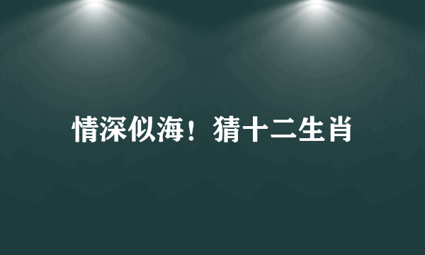 情深似海！猜十二生肖