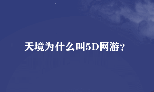 天境为什么叫5D网游？