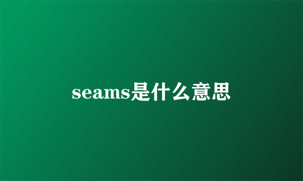 seams是什么意思