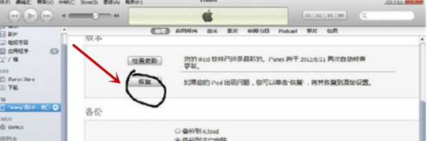 越狱iPhone手机恢复出厂设置白苹果了，怎么办？急！！