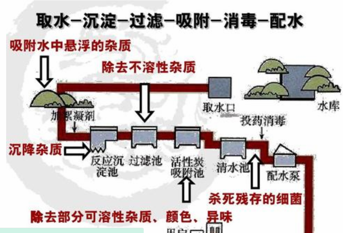 净化水的方法