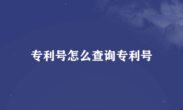 专利号怎么查询专利号