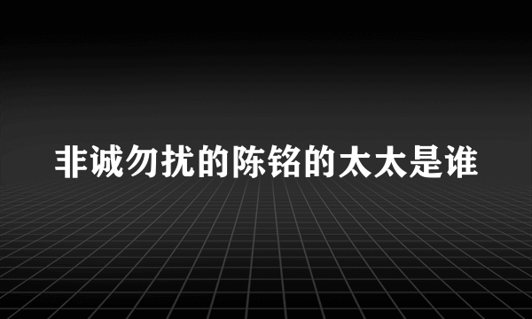 非诚勿扰的陈铭的太太是谁