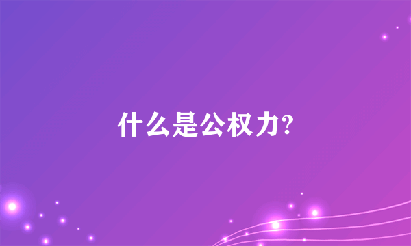 什么是公权力?