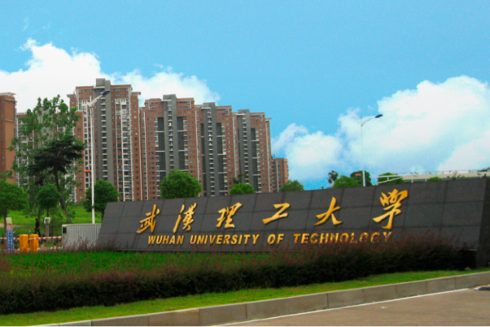 武汉各大学排名