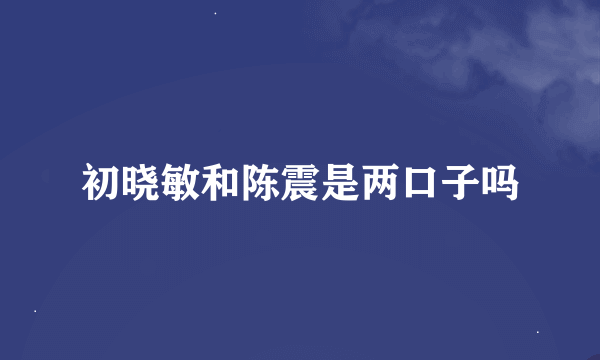 初晓敏和陈震是两口子吗