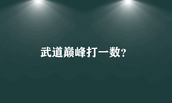 武道巅峰打一数？