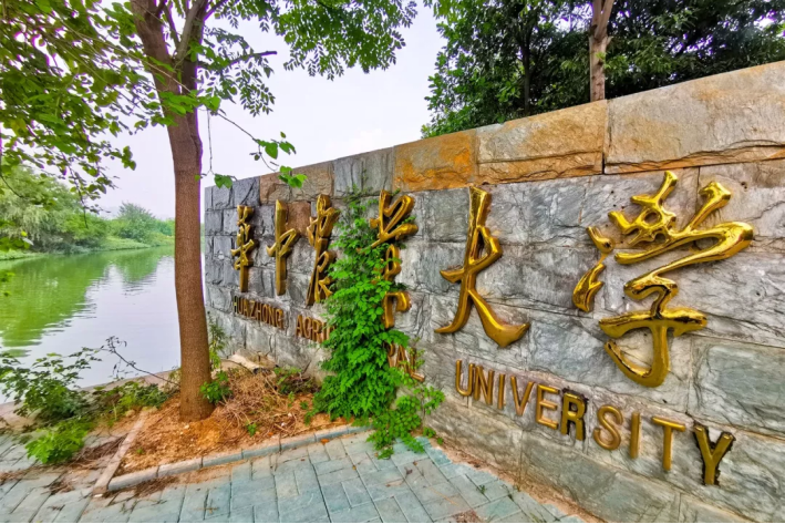 武汉各大学排名