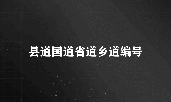 县道国道省道乡道编号