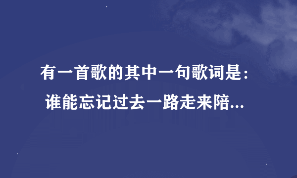 有一首歌的其中一句歌词是： 谁能忘记过去一路走来陪你受的伤 歌名是什么啊？