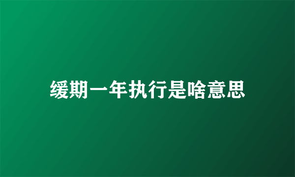 缓期一年执行是啥意思