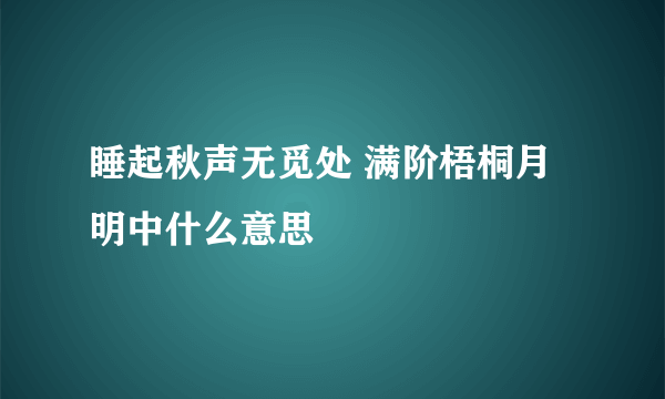 睡起秋声无觅处 满阶梧桐月明中什么意思