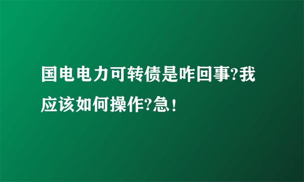 国电电力可转债是咋回事?我应该如何操作?急！