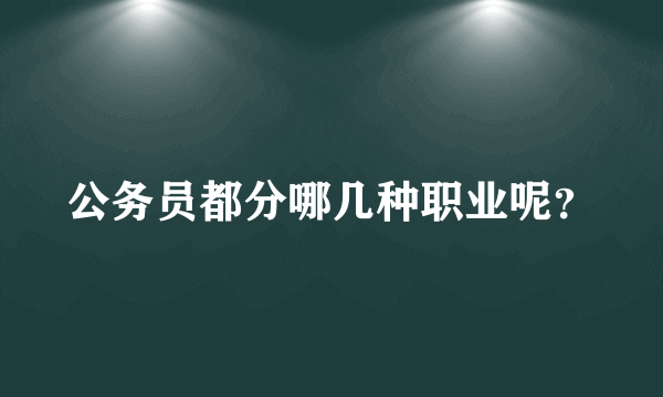 公务员都分哪几种职业呢？