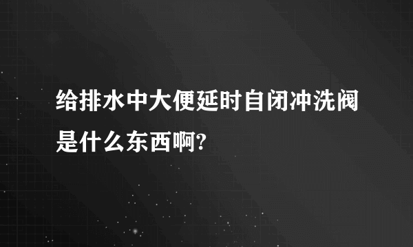 给排水中大便延时自闭冲洗阀是什么东西啊?