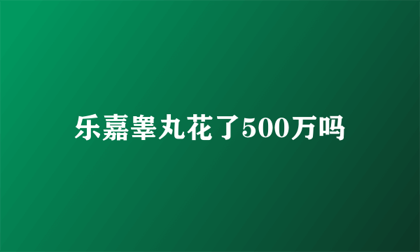 乐嘉睾丸花了500万吗