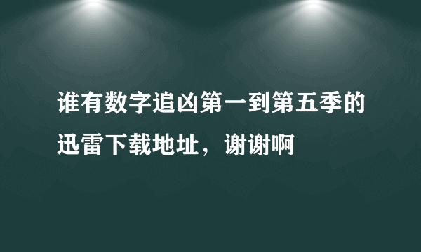 谁有数字追凶第一到第五季的迅雷下载地址，谢谢啊