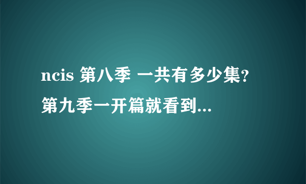 ncis 第八季 一共有多少集？第九季一开篇就看到mike怎么就死了？没看到他怎么死的啊。