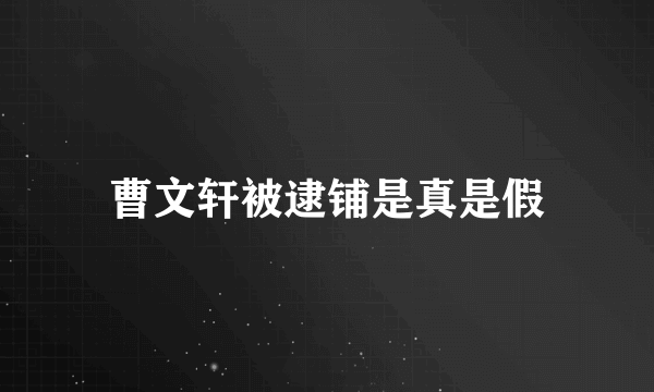 曹文轩被逮铺是真是假