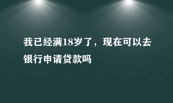 我已经满18岁了，现在可以去银行申请贷款吗