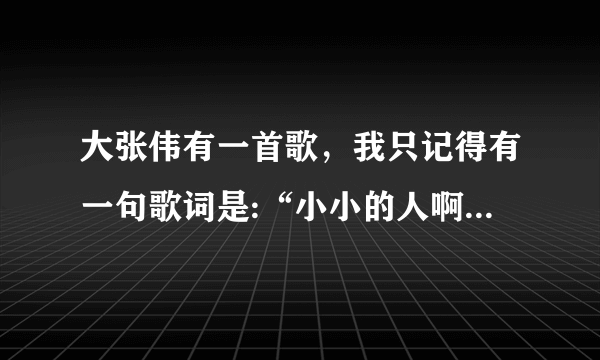 大张伟有一首歌，我只记得有一句歌词是:“小小的人啊……”什么什么的我就记不得了，这首歌歌名叫啥？