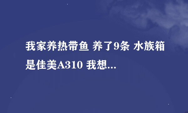 我家养热带鱼 养了9条 水族箱是佳美A310 我想问一下多久换一次水 要怎么换 还有佳美A310有氧气的吗