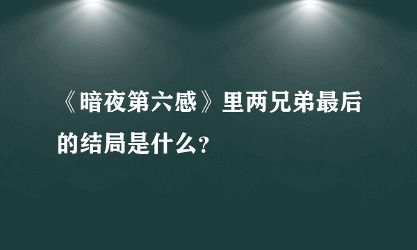 《暗夜第六感》里两兄弟最后的结局是什么？