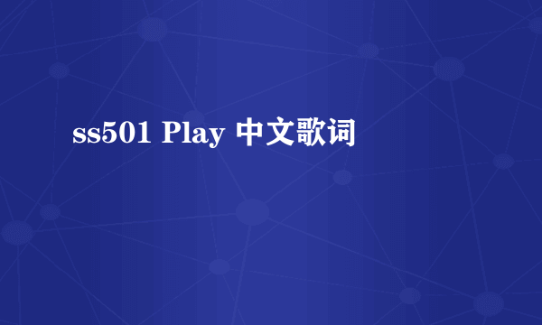 ss501 Play 中文歌词