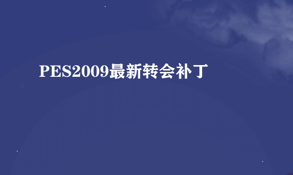 PES2009最新转会补丁