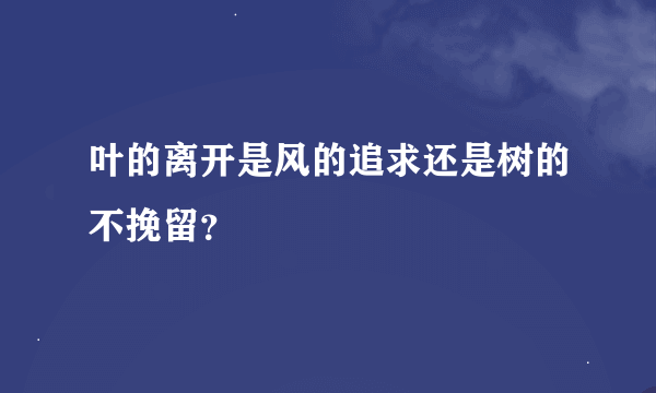 叶的离开是风的追求还是树的不挽留？