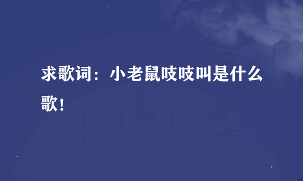 求歌词：小老鼠吱吱叫是什么歌！