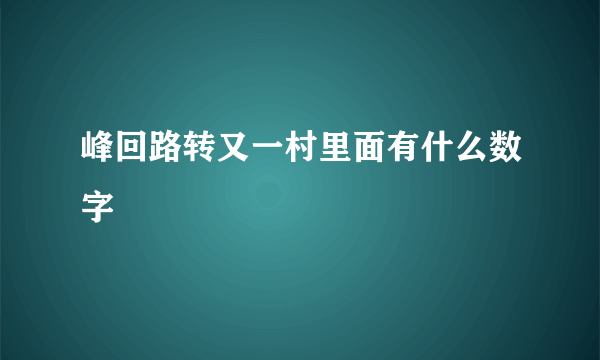 峰回路转又一村里面有什么数字