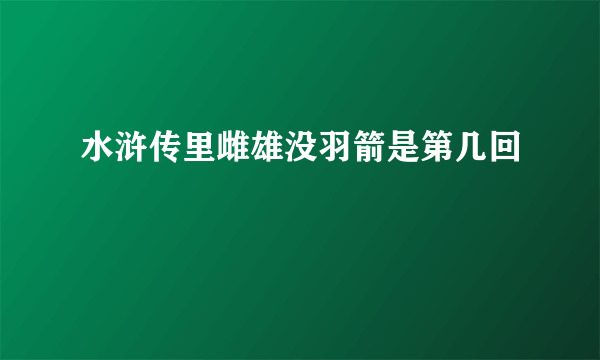 水浒传里雌雄没羽箭是第几回