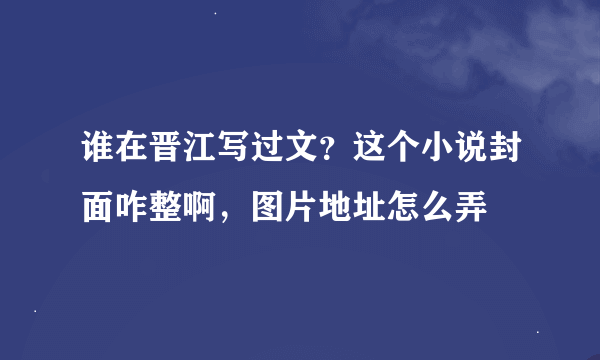 谁在晋江写过文？这个小说封面咋整啊，图片地址怎么弄