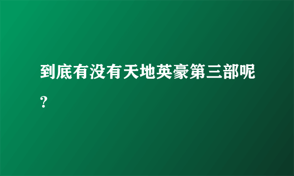 到底有没有天地英豪第三部呢？