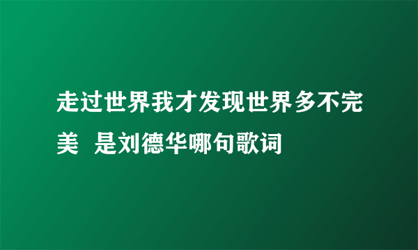 走过世界我才发现世界多不完美  是刘德华哪句歌词