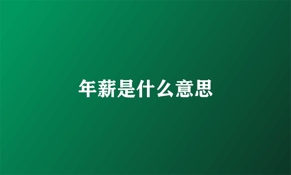 年薪是什么意思