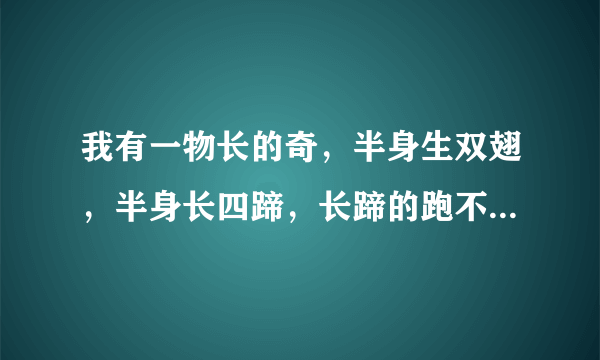 我有一物长的奇，半身生双翅，半身长四蹄，长蹄的跑不快，长翅的飞不好。是啥字？？？