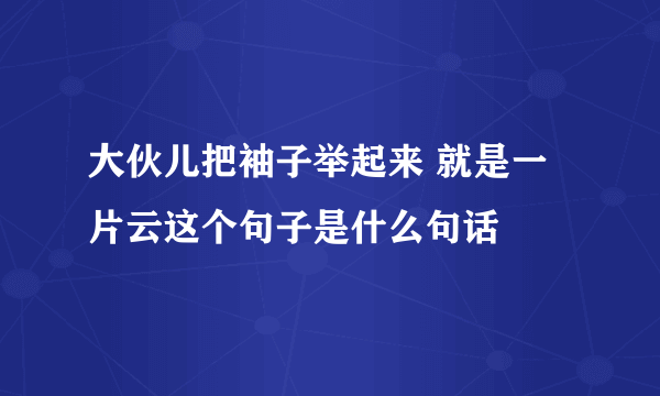 大伙儿把袖子举起来 就是一片云这个句子是什么句话