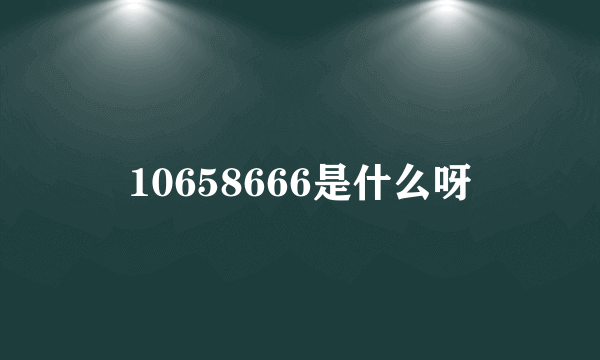 10658666是什么呀