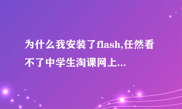 为什么我安装了flash,任然看不了中学生淘课网上的视频呢